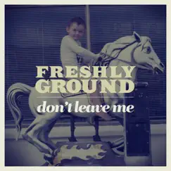Don't Leave Me - Single by Freshlyground album reviews, ratings, credits
