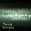 Never Give Up on Love - Single album lyrics, reviews, download