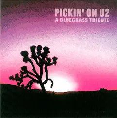 Pickin' on U2: A Bluegrass Tribute by Pickin' On Series album reviews, ratings, credits