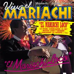 Viva El Mariachi 