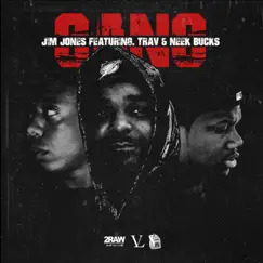 Gang (feat. Trav & Neek Bucks) - Single by Jim Jones album reviews, ratings, credits