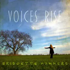 Voices Rise Song Lyrics