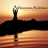 Vipassana Meditation: Music for Lovingkindness and Mindfulness album lyrics, reviews, download