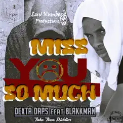 Miss You So Much (feat. Blakkman) Song Lyrics