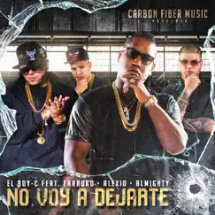 No Voy a Dejarte (feat. Farruko, Alexio & Almighty) Song Lyrics