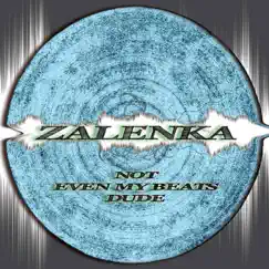 Not Even My Beats Dude by Zalenka album reviews, ratings, credits