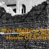 Alive in the House of Saints (Live) [feat. Myra Melford, Lindsey Horner & Reggie Nicholson] album lyrics, reviews, download