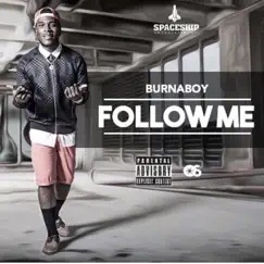 Follow Me - Single by Burna Boy album reviews, ratings, credits