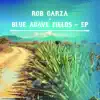 Blue Agave Fields - EP album lyrics, reviews, download