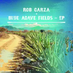 Blue Agave Fields - EP by Rob Garza album reviews, ratings, credits