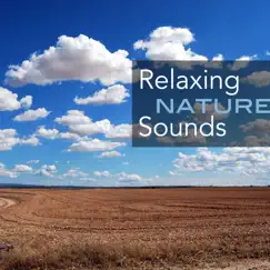 Relaxing Nature Sounds - Music with Sounds of Forest Stream, Rain, Ocean Waves, Meadow Ambience by Calm Music Ensemble album reviews, ratings, credits