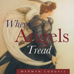 Where Angels Tread by Medwyn Goodall album reviews, ratings, credits