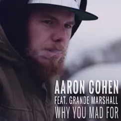 Why You Mad For - Single by Aaron Cohen album reviews, ratings, credits