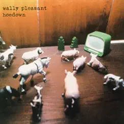 Hoedown by Wally Pleasant album reviews, ratings, credits