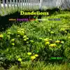 Dandelions and Other Assorted Aural Oddities, Vol. XXIX album lyrics, reviews, download