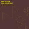 Private Collection: Techno Revivers Project album lyrics, reviews, download