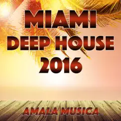 Miami Deep House 2016 by Various Artists album reviews, ratings, credits