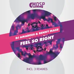 Feel So Right (Michal Poliak Remix) Song Lyrics