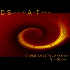 Cause I Love You Anyway (Yann Sub Remix) Song Lyrics