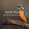 Sounds of Natural Song Vol. 1 album lyrics, reviews, download