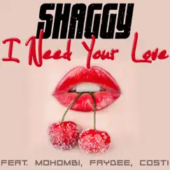 I Need Your Love (feat. Mohombi, Faydee & Costi) Song Lyrics