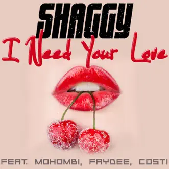 Download I Need Your Love (feat. Mohombi, Faydee & Costi) Shaggy MP3
