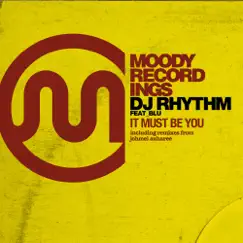 It Must Be You (feat. Blu) [Rhythm's Club Mix] Song Lyrics