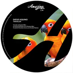 Traveler - Single by Diego Aquino album reviews, ratings, credits