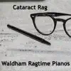 Caataract Rag (Orchestral) - Single album lyrics, reviews, download