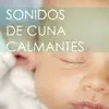 Sonidos de Cuna Calmantes - Sonido de la Naturaleza y del Mar para Niños album lyrics, reviews, download