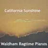 California Sunshine (Orchestral) - Single album lyrics, reviews, download