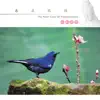 春在枝頭: 心經新唱 album lyrics, reviews, download