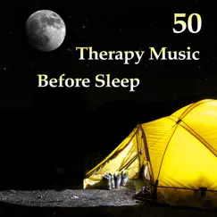 Blissful Repose (Delta Waves for Sleep Hypnosis) Song Lyrics