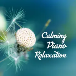 Calming Piano Relaxation: Meditation Collection, Healing Sound for Your Soul, Mind & Body, Yoga & Sleep by Serenity Music Relaxation album reviews, ratings, credits