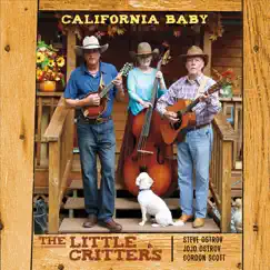 California Baby Song Lyrics