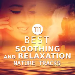 Deep Meditation Sounds Song Lyrics