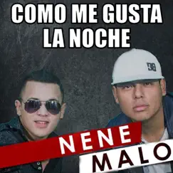 Como Me Gusta la Noche - Single by Nene Malo album reviews, ratings, credits