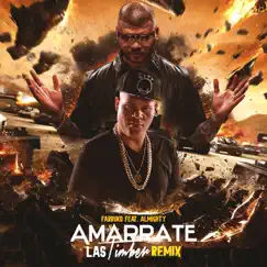 Amarrate las Timber (feat. Almighty) [Remix] - Single by Farruko album reviews, ratings, credits