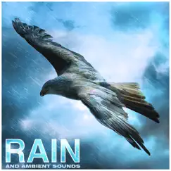 Rain and Ambient Sounds, Relaxation, Meditation, Yoga by Nature Sounds, Rain Sounds & Nature Sounds Nature Music album reviews, ratings, credits