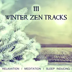 111 Winter Zen Tracks - Relaxation, Meditation, Sleep Inducing, Take Deep Breath with Soothing and Relaxing Music, Blissful Sounds of Nature to Be Calm and to Reach Inner Peace (Yoga Anti Stress) by Various Artists album reviews, ratings, credits
