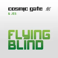 Flying Blind (Extended Mix) Song Lyrics