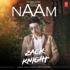Tere Naam - Single by Zack Knight album reviews, ratings, credits