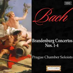 Brandenburg Concerto No. 1 in F Major, BWV 1046: IV. Menuetto - Trio - Menuetto - Polacca - Menuetto - Trio - Menuetto Song Lyrics