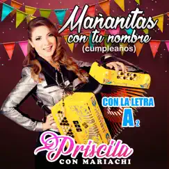 Mañanitas Con Tu Nombre (Cumpleaños) Con La Letra a, Vol. 2 by Priscila Con Mariachi album reviews, ratings, credits
