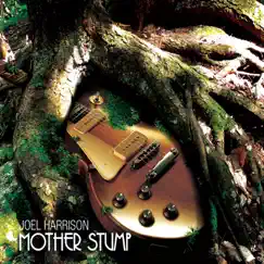 Mother Stump by Joel Harrison album reviews, ratings, credits