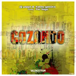 Gozando - Single by DJ Pippi & Fabio Genito album reviews, ratings, credits