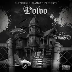 Polvo - Single by Lil' Cas album reviews, ratings, credits