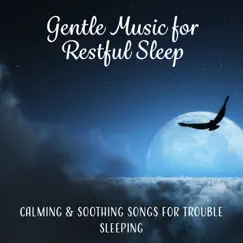 Tranquility and Serenity Before Bedtime Song Lyrics