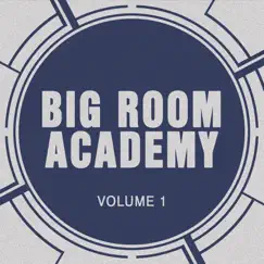 Big Room Academy by Big Room Academy album reviews, ratings, credits