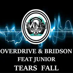 Tears Fall (feat. Junior) - Single by Overdrive & Bridson album reviews, ratings, credits